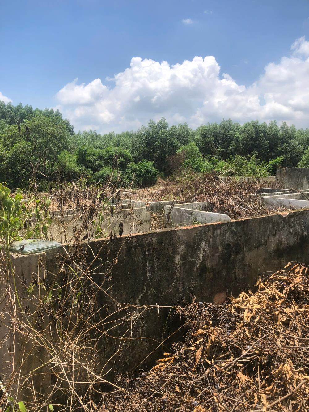 Cần Bán 9898m2 Đất Chính Chủ Tại Ấp 3, xã Phước Bình, Huyện Long Thành, Đồng Nai, Giá Chỉ 20 tỷ.2588245