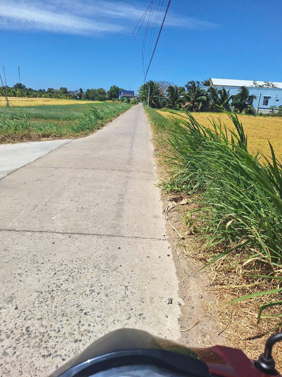 ĐẤT ĐẸP- GIÁ TỐT CHÍNH CHỦ CẦN BÁN NHANH lô đất đẹp- giá tốt tại huyện Ba Tri, tỉnh Bến Tre2516119