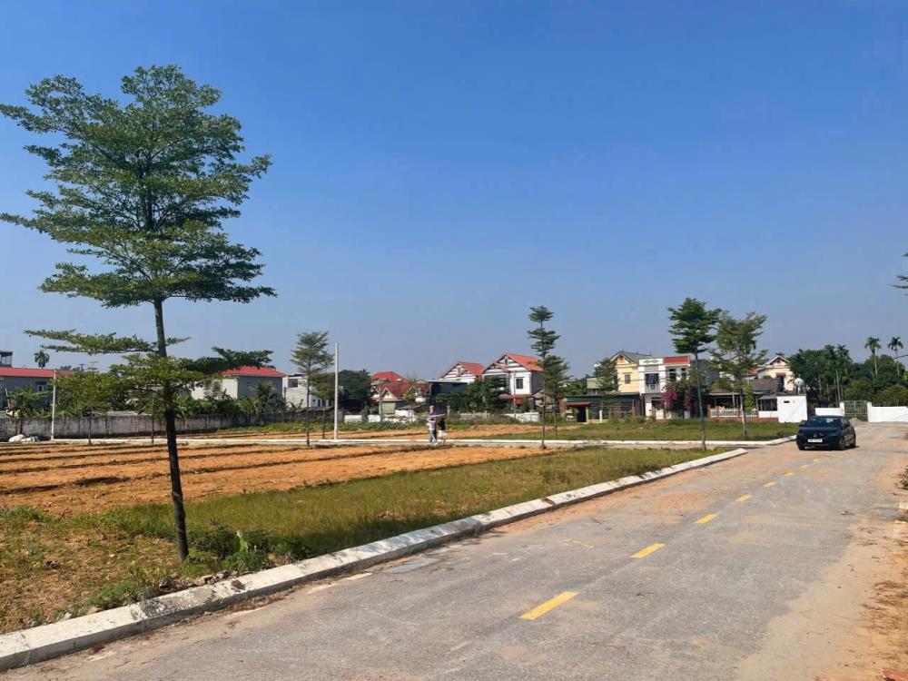 BÁN LÔ ĐẤT ĐẤU GIÁ - Vị Trí Đắc Địa Tại Lâm Thao- Phú Thọ2512476