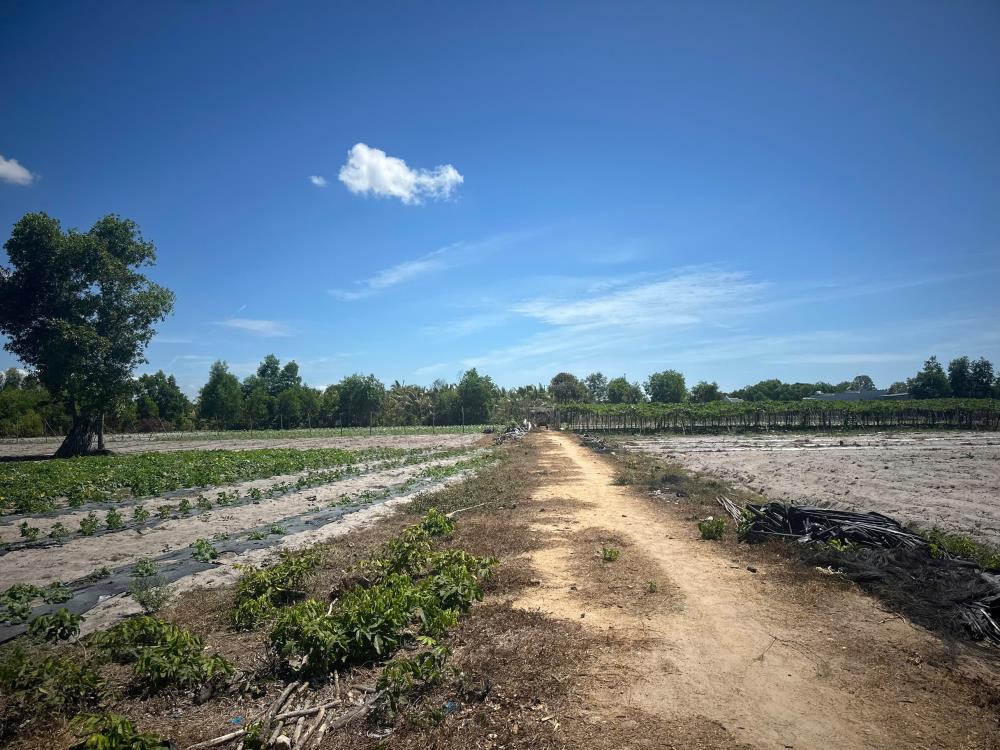 Đất ngộp lô 2 Nguyễn Trãi - TX LaGi 2000m2 chỉ 1.1 tỷ/ sào đường xe hơi2575509