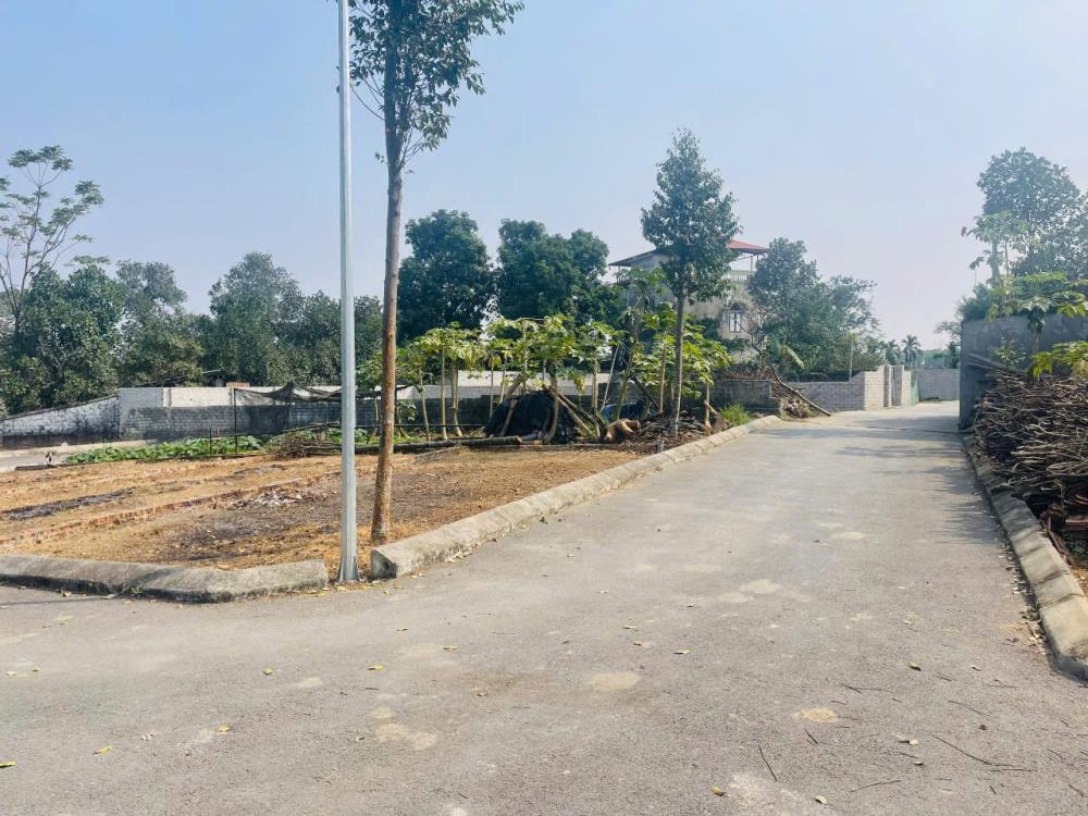 Bán đất Đồng Trạng Cổ Đông - Giá nhỉnh 1.8 tỷ2334413