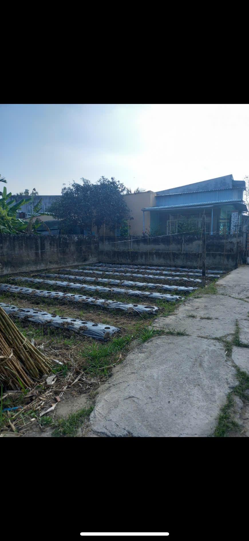 Chính Chủ Cần Bán Gấp Đất Tại Hẻm 89 Nguyễn Thông, P. An Thới, Ninh Kiều, Cần Thơ2575004