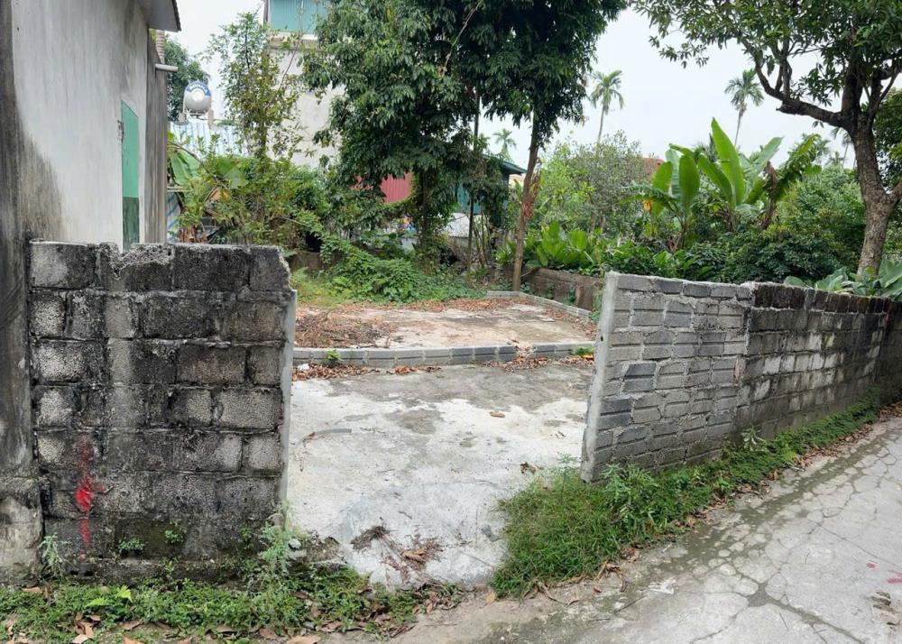 đất vàng 76m² tại tổ 4, Phù Vân, Phủ Lý, Hà Nam2597318