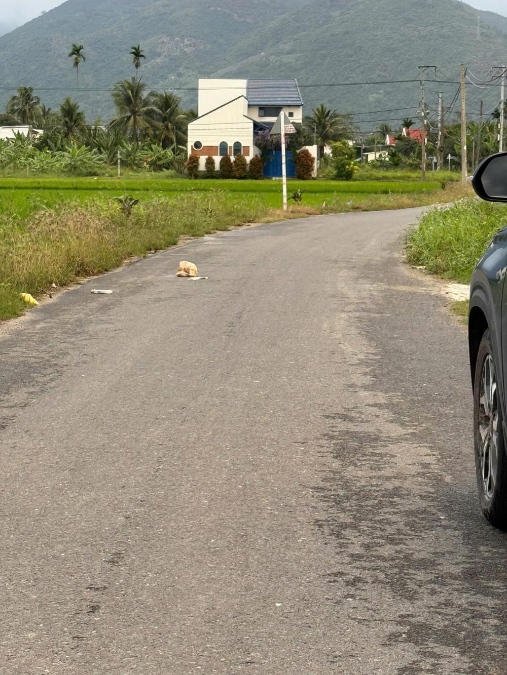 Bán Đất Diên An ngay khu dân cư Phú Ân Nam 2 Cách Đường 23/10 200m, Diên Khánh, Khánh Hòa2446161