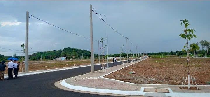 NHANH TAY SỞ HỮU ĐẤT BIỆT THỰ SÂN VƯỜN KHU ĐT LAN ANH 7 GIÁ TỐT2616586