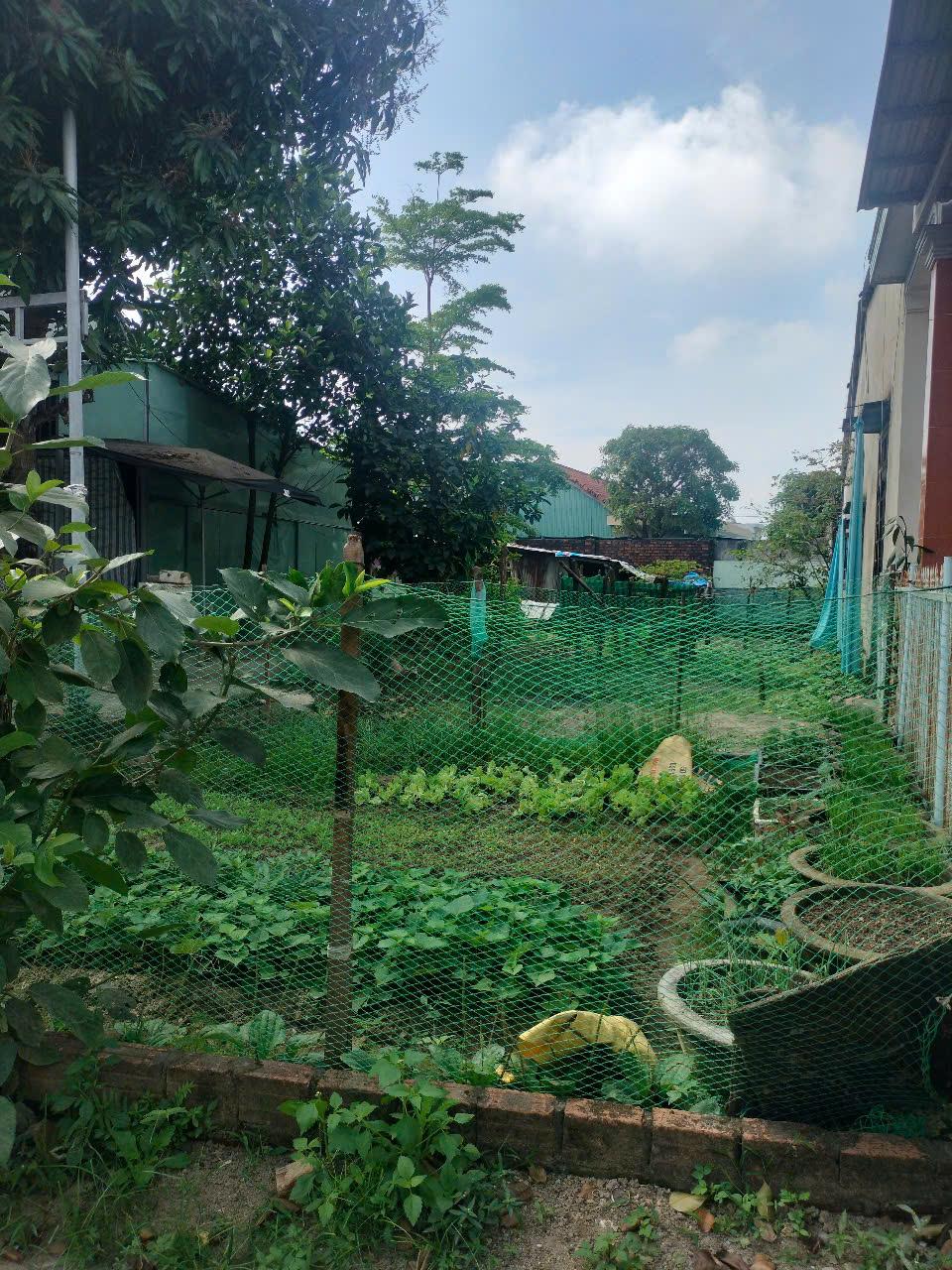 ĐẤT CHÍNH CHỦ - GIÁ TỐT -CHÍNH CHỦ CẦN BÁN Lô Đất tại Phú Hải 2, Đại Hiệp, Huyện Đại Lộc, Quảng Nam2505484