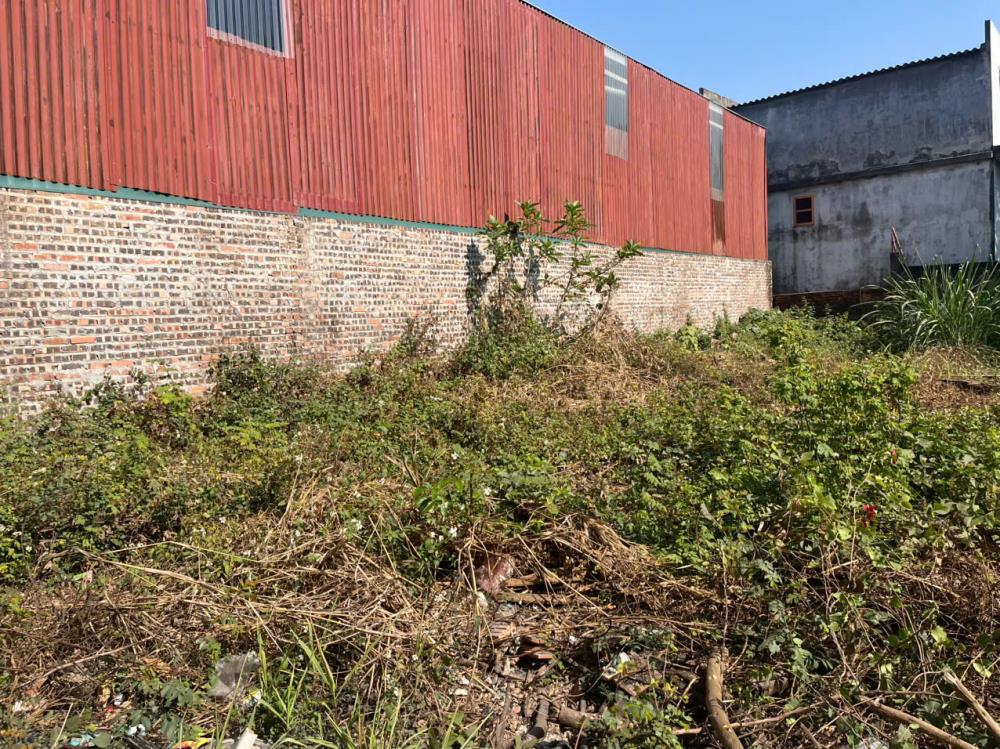 ĐẤT ĐẸP - GIÁ TỐT - Vị Trí Đắc Địa Tại Xóm Vang, Xã Cổ Loa, Huyện Đông Anh, Thành phố Hà Nội2515378