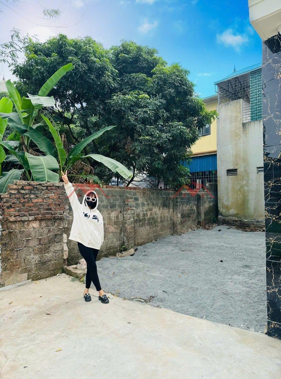 CHÍNH CHỦ BÁN LÔ ĐẤT 38.9M TẠI PHỤNG CHÂU-CHƯƠNG MỸ-HÀ NỘI2617294