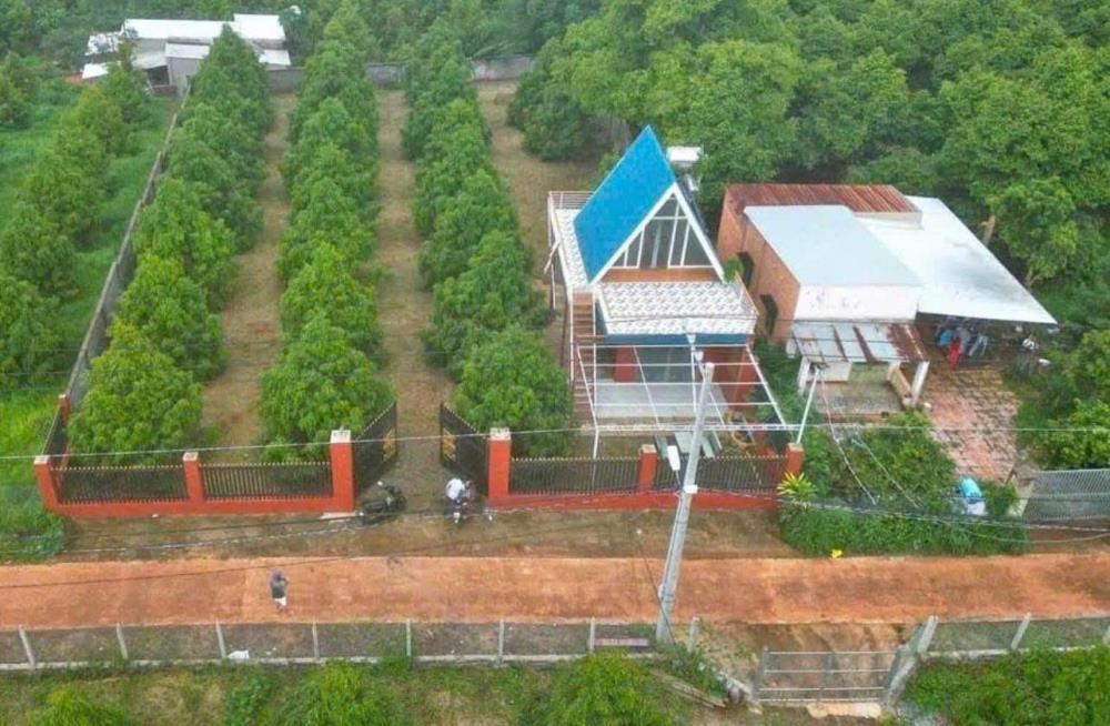 TÔI CẦN TIỀN NÊN MUỐN BÁN GẤP NHÀ VƯỜN CẤP 4 CÓ 300 CÂY SẦU RIÊNG ĐIỆN NƯỚC CÓ SẴN DỌN VÀO Ở NGAY ĐƯỢC.2583624