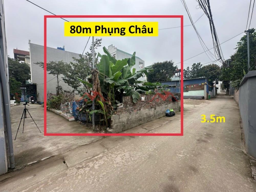 CHÍNH CHỦ BÁN LÔ ĐẤT 80M TẠI PHỤNG CHÂU-CHƯƠNG MỸ-HÀ NỘI2617398