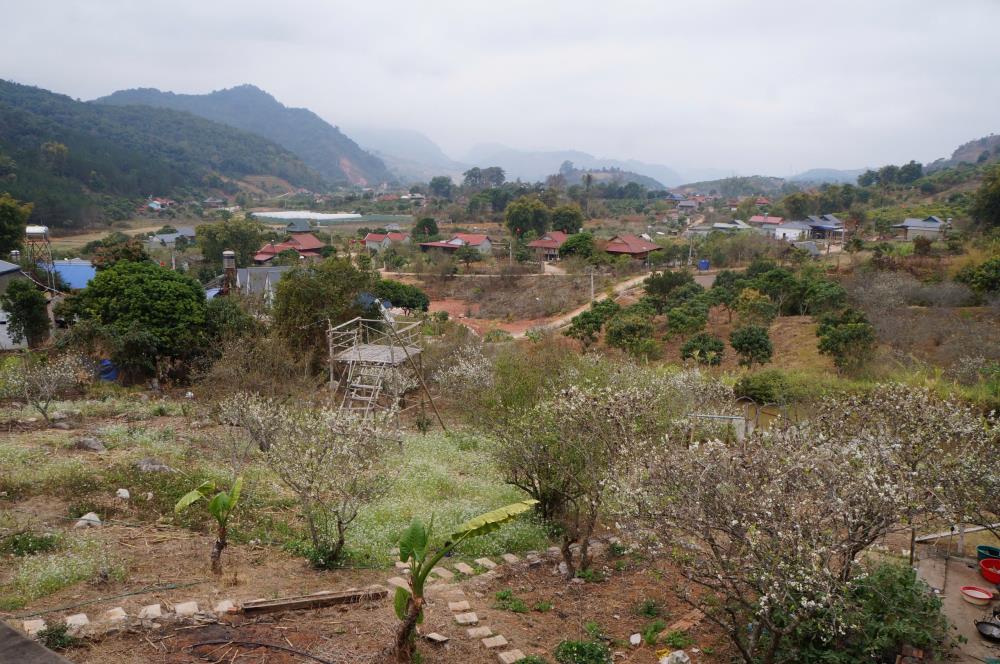 Bán Đất View Đẹp Tại Khu Du Lịch Cộng Đồng Tổ Vặt Hồng, P. Mường Sang, TX Mộc Châu2390123