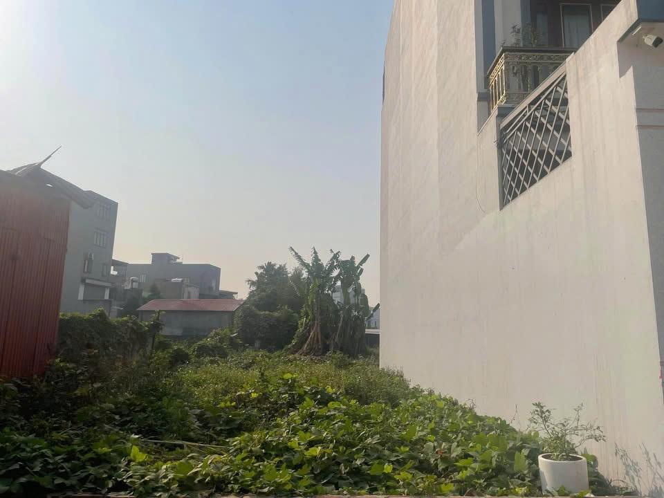 Cho Thuê Mặt Bằng Lâu Dài (trên 5 năm)2469139