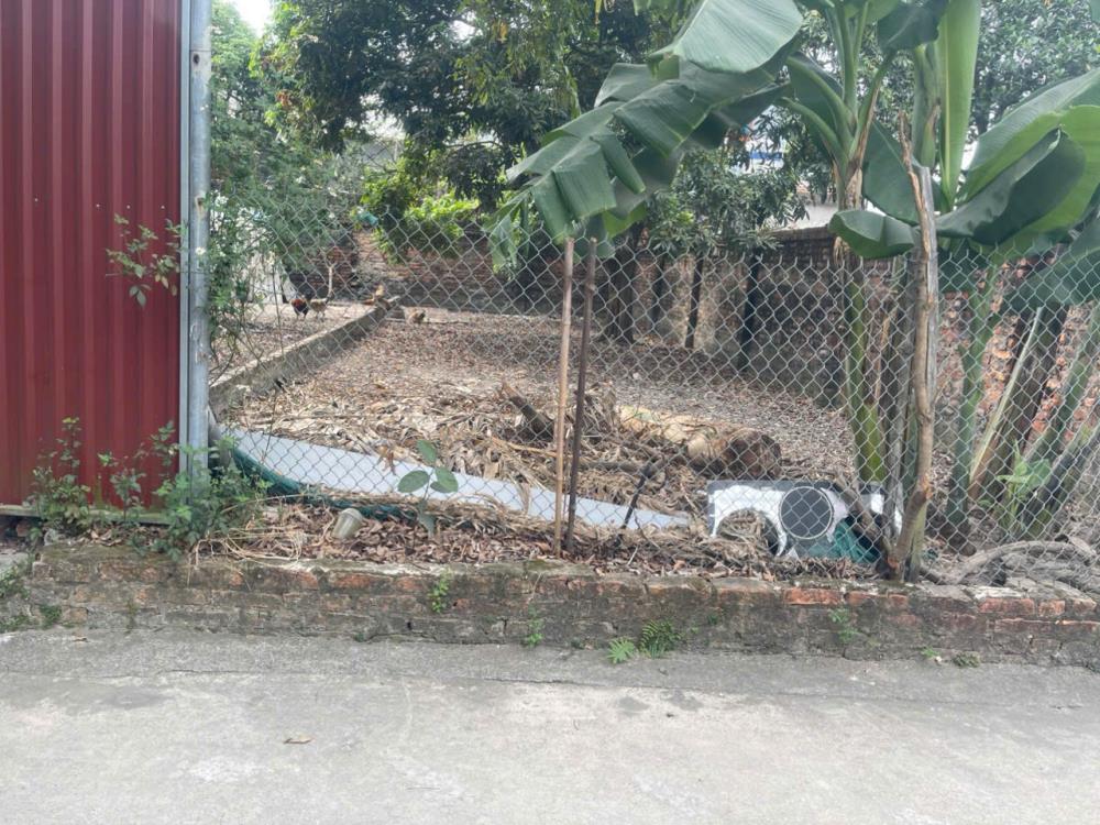 Vị trí địa lý đất : thôn tiên xá 3 xã Cẩm xá thị xã Mỹ hào2542222