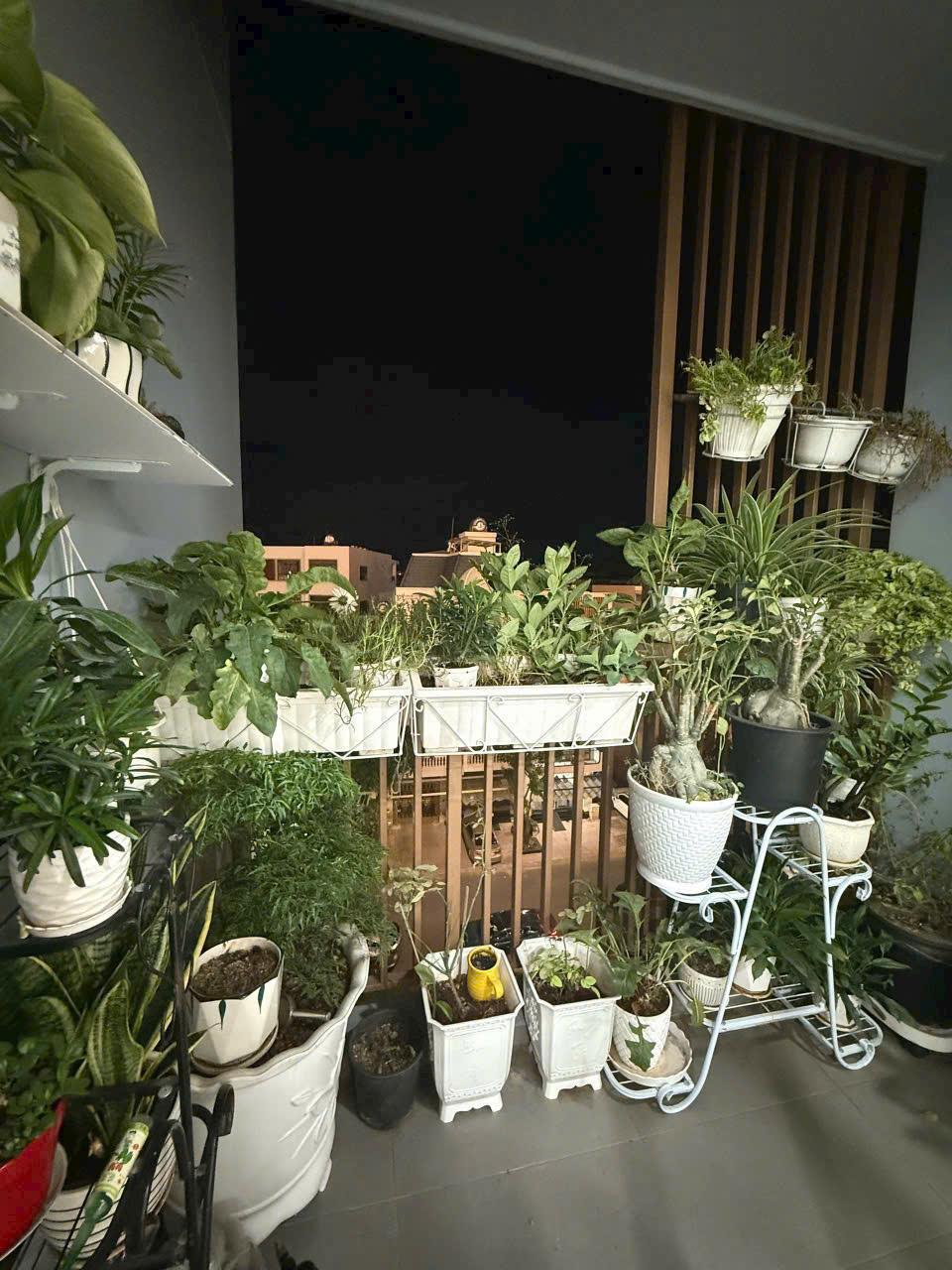 Bán căn chung cu cao cấp 2pn, 77m2 Topaz Twins, nhà đẹp chỉ 2,8 tỷ2411011