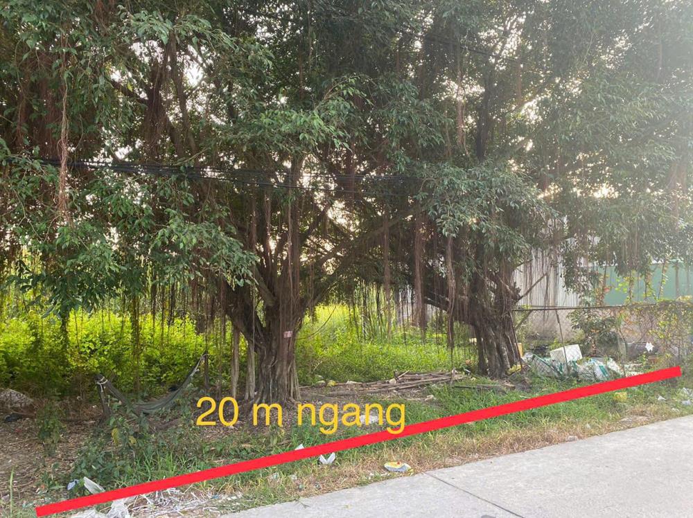 CHÍNH CHỦ Bán Nhanh Đất Tại Phường 8, Thành phố Cà Mau, Cà Mau2451337