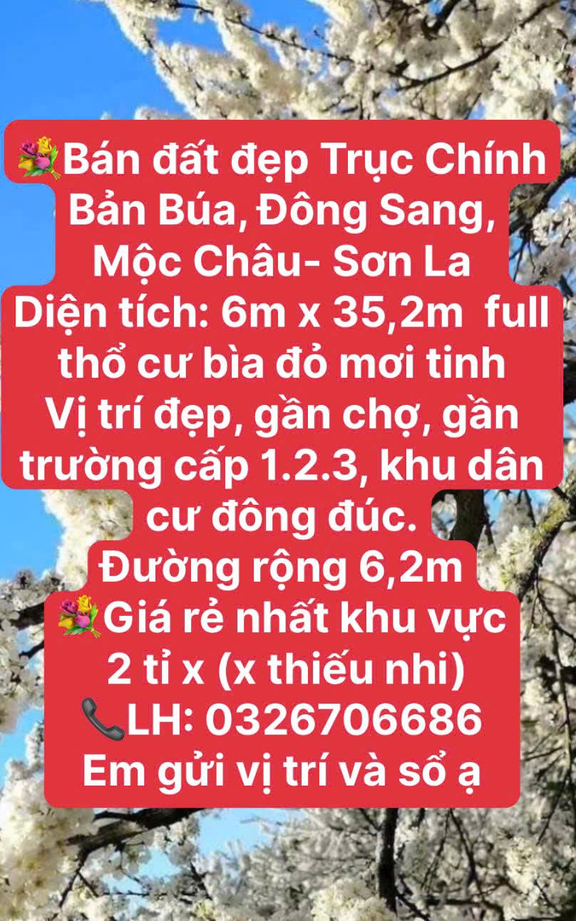 CẦN RA MỘT SỐ MẢNH ĐẤT ĐẸP TẠI MỘC CHÂU2531864