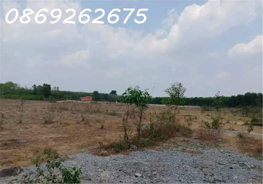 CHO THUÊ ĐẤT SKC 39.000M BÌNH DƯƠNG MẶT TIỀN ĐƯỜNG DT GIÁ 200 TRIỆU2458242