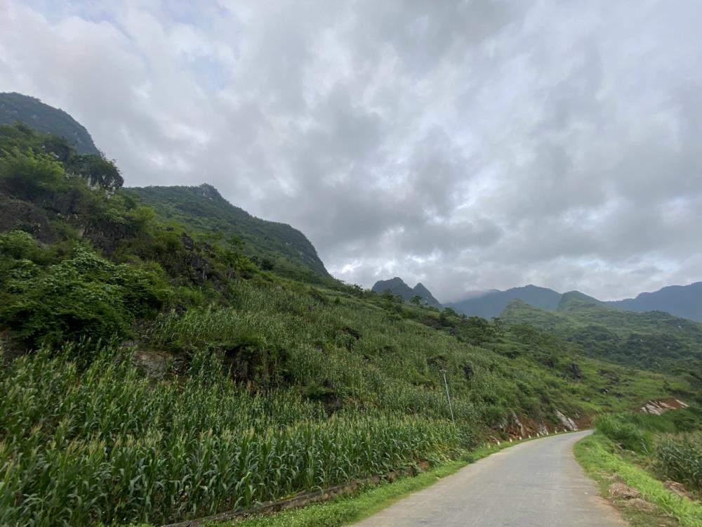 Chủ nhà cần tiền bán gấp Mảnh đất View hướng sông tại Hà Giang2345914