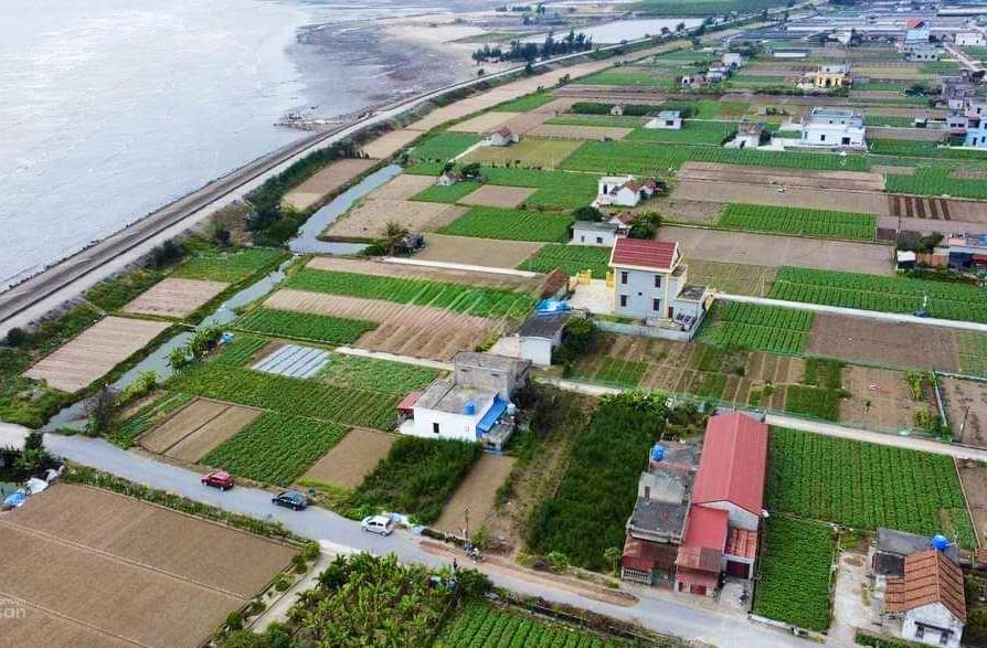 Chủ đầu tư mở bán 5 phân khu đất biển quất lâm  giá chỉ từ 1 tỷ2335591