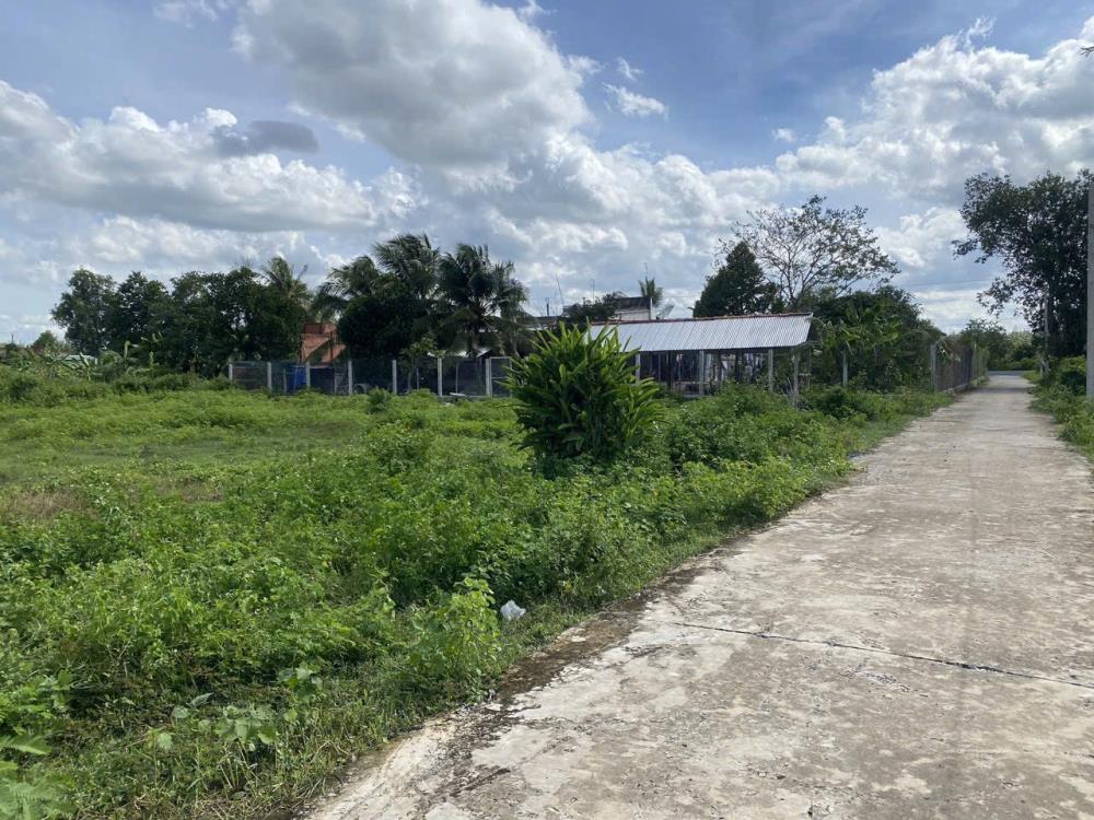 Cần Bán 153m2 Đất Chính Chủ Mặt Tiền Đường Nhựa Tại Huyện Gò Dầu, Tỉnh Tây Ninh.2413734