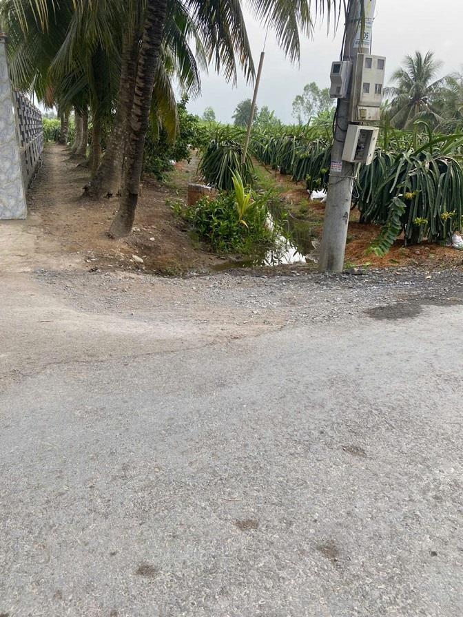 Bán đất chính chủ ngang 9,22m nở hậu 9,9m dài 63,54m tổng diện tích 704,7mv đất cây lâu năm có 100mv thổ cư2411047