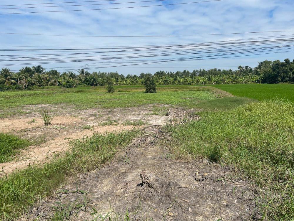 Cần bán đất nền tại ấp 10, xã Thuận Hưng, huyện Long Mỹ, tỉnh Hậu Giang (kế bên cầu Ba Phát). Giá: 3,9/nền.2428302