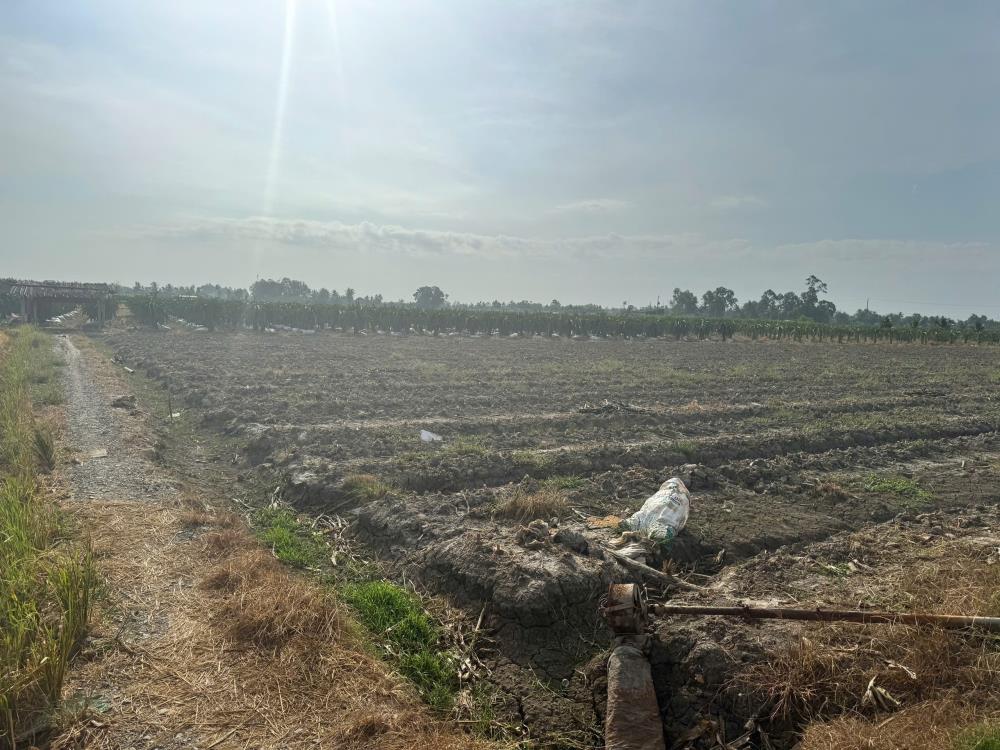 CHÍNH CHỦ CẦN BÁN LÔ ĐẤT VỊ TRÍ ĐẸP TẠI XÃ ĐỒNG SƠN- GÒ CÔNG TÂY – TIỀN GIANG.2605340