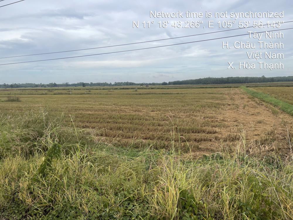 CHÍNH CHỦ CẦN BÁN ĐẤT Hoà Thạnh, Châu Thành, Tây Ninh GIÁ 1.8 TỶ2609995