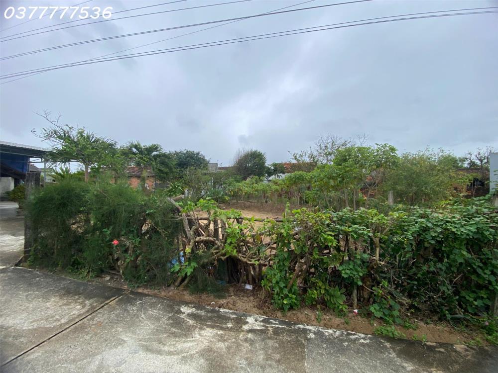 Bán đất thổ cư 149m², 1.1 tỷ, Mỹ Hòa, Hòa Hiệp Bắc, Đông Hòa, Phú Yên, sổ đỏ2406254