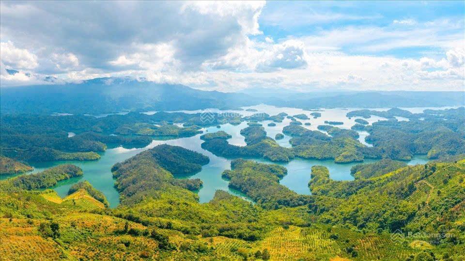 Siêu phẩm đất tà đùng 3.500m2 thích hợp kinh doanh nhà hàng, khách sạn, giá 13 tỷ2402289