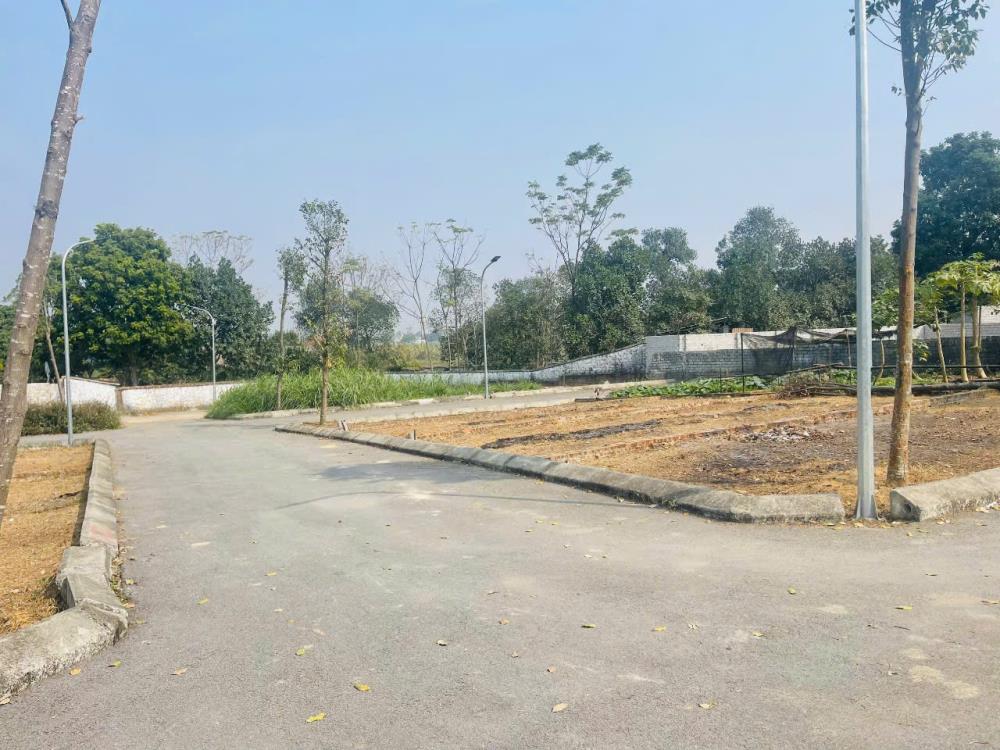 Bán mảnh đất diện tích 60m² full thổ cư - 1,9x tỷ2353122