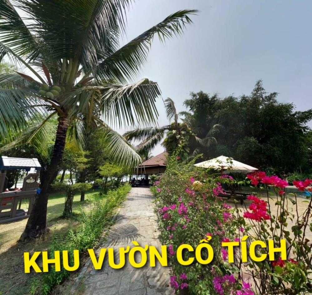 Mua 8 tỷ Bán 6 tỷ x - Biệt Thự Tuyết Anh Bình Mỹ Củ Chi TpHCM1989892