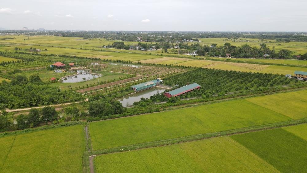 Chính chủ cần bán gấp trang trại lợn tại Nông Cống, Thanh Hoá662393