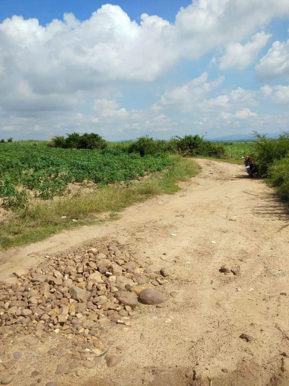 Cần bán  lô  đất  2,1 mẫu tại huyện La Pa tỉnh Gia Lai1216257