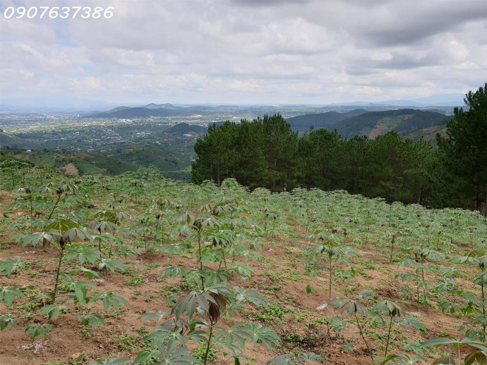Cần cho thuê đất ở Mê Linh, Lâm Hà, phù hợp các loại hình sản xuất nông nghiệp1343500