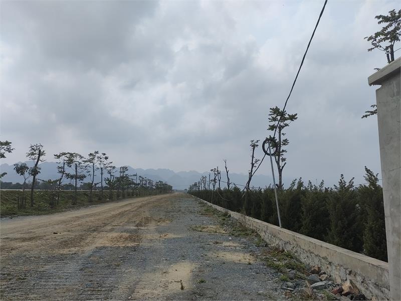 Cần chuyển nhượng 8000m2 đất công nghiệp 50 năm tại Xã Yên Lư, Huyện Yên Dũng, Tỉnh Bắc Giang342068