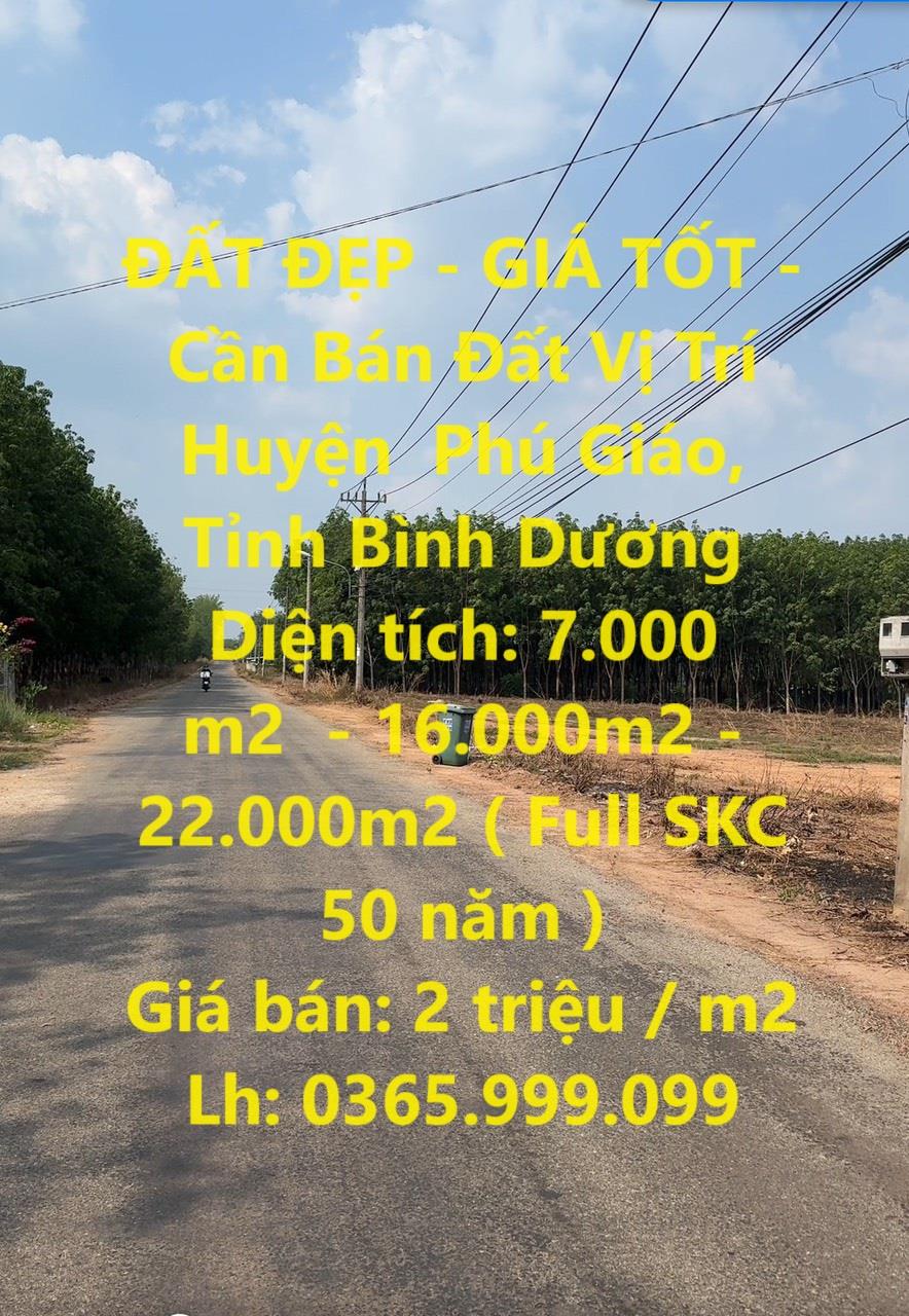 ĐẤT ĐẸP - GIÁ TỐT - Cần Bán Đất Vị Trí Huyện  Phú Giáo, Tỉnh Bình Dương1486543