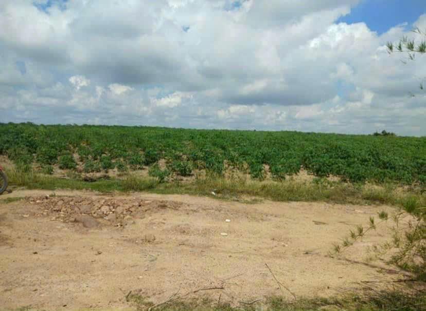 Cần bán lô  đất 1,6 mẫu đất  tại huyện La Pa, tỉnh Gia Lai1216269