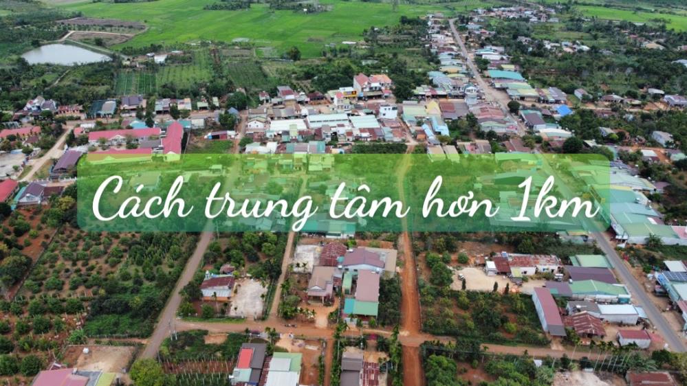 Bán Vườn Vải Thiều Xã Tam Giang - Huyện Krông Năng - Tỉnh DakLak1536763