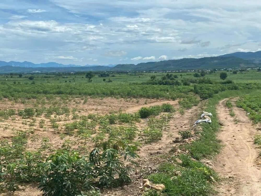 Cần bán  lô  đất  1,9 mẫu tại huyện La Pa, tỉnh Gia Lai1216262