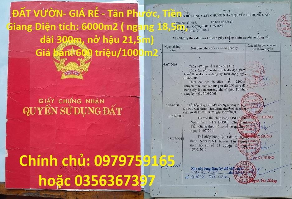 ĐẤT VƯỜN- GIÁ RẺ - Tân Phước, Tiền Giang361363