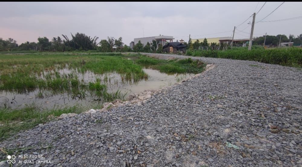 Bán lô đất lúa vườn xã Đức Tân  chuyển thổ giá 3,34 tỷ758932
