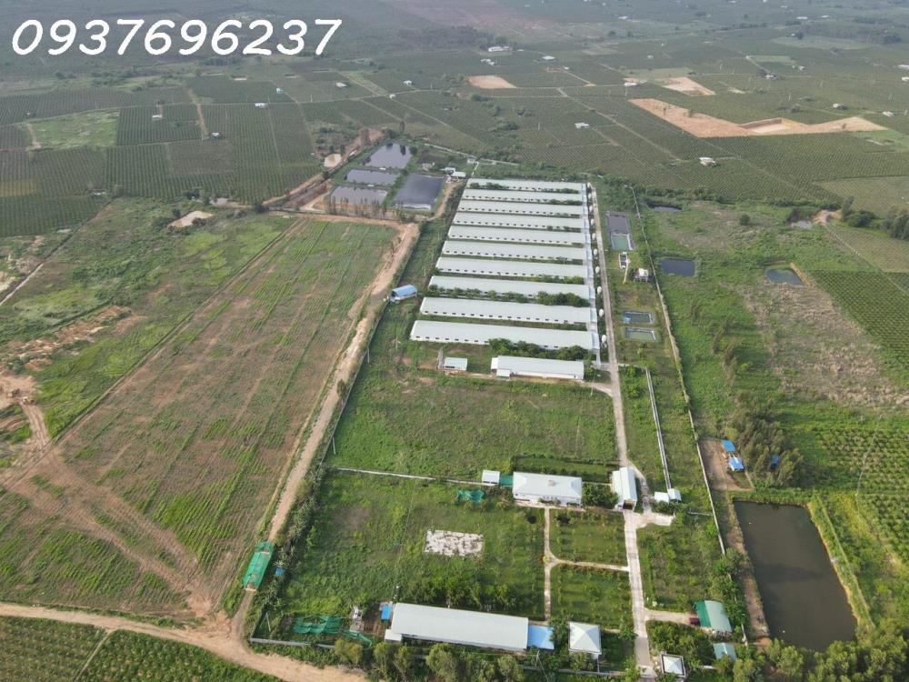 Bán hơn 12ha đất trang trại đang cho thuê 450 triệu tháng tại Xã Hàm Cường Bình Thuận258357