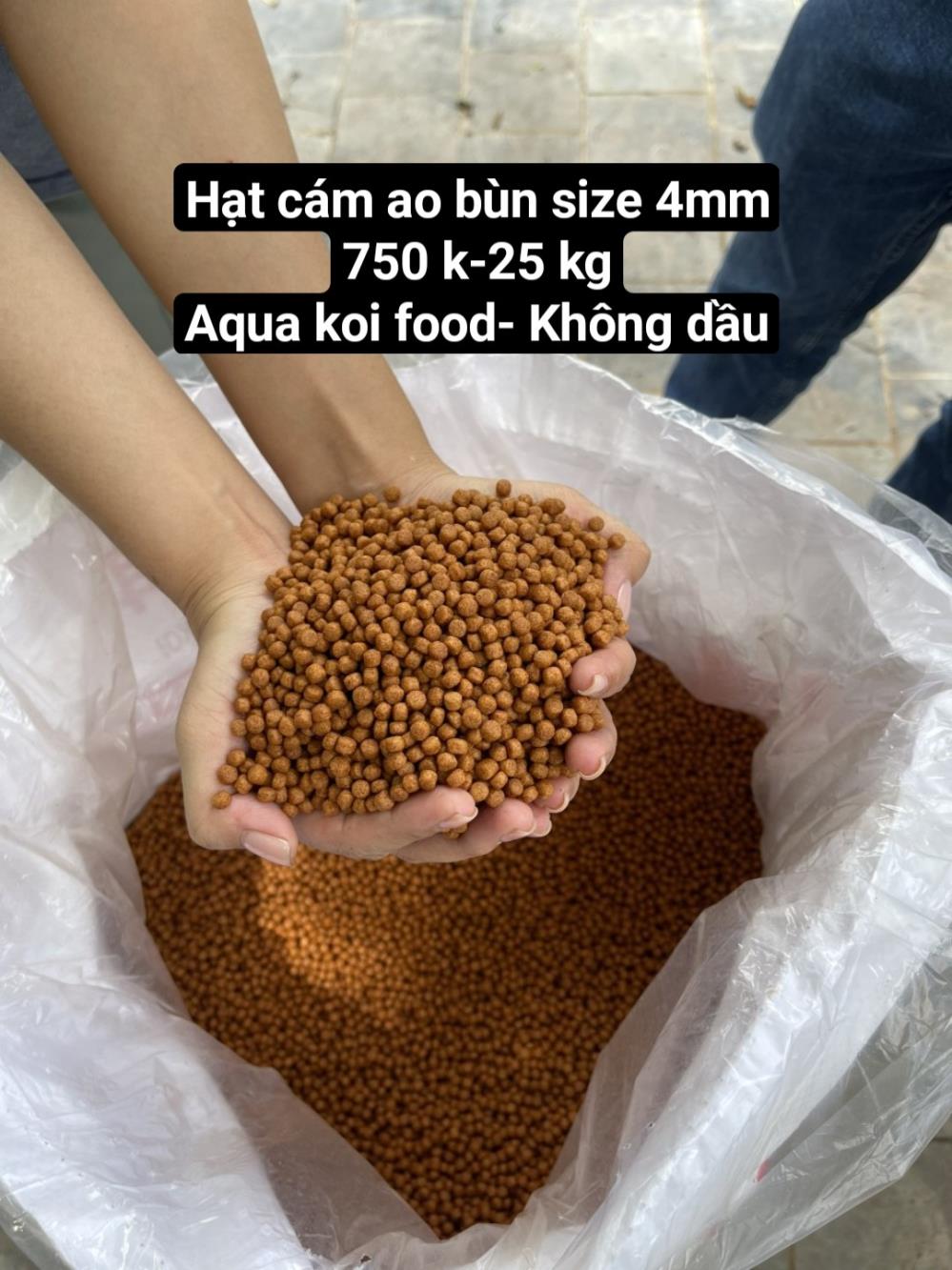 Cám Aqua Koi  bơm size cực đỉnh2016587