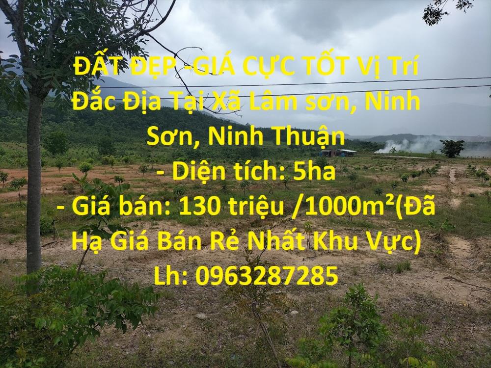 ĐẤT ĐẸP -GIÁ CỰC TỐT Vị Trí Đắc Địa Tại Xã Lâm sơn, Ninh Sơn, Ninh Thuận357958
