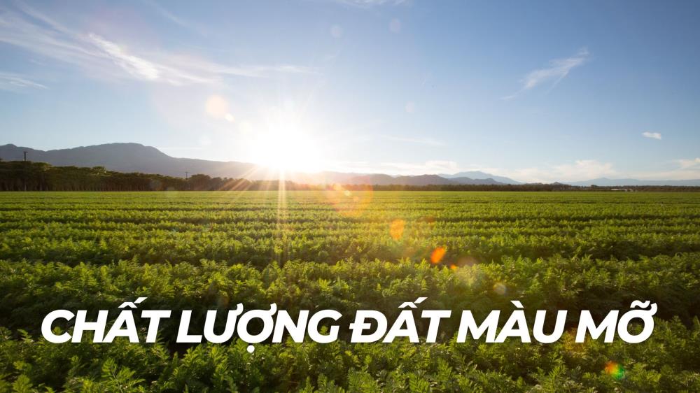 Hơn 60 ha đất Nông Nghiệp bằng phẳng, màu mỡ tại Đăk Nông - Giá chỉ 660tr/ha. NguyenThanh M&A1057693