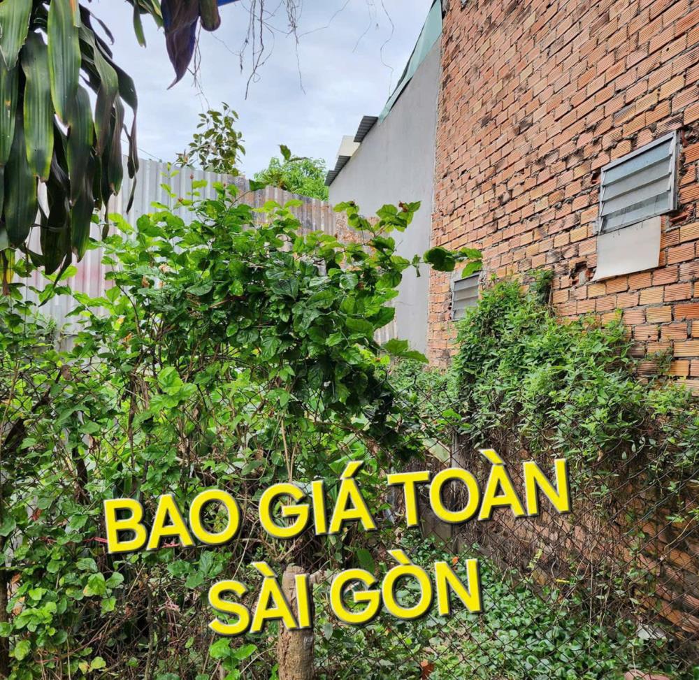 Bao Giá Toàn Sài Gòn - Đất 235m2 có 1,75 tỷ TL8 Hòa Phú Củ Chi TpHCM1969144