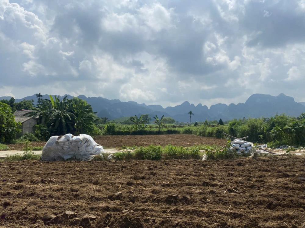 ĐẤT CHÍNH CHỦ - GIÁ TỐT - Vị Trí Đẹp Tại Thôn An Ninh, Xã Phú Nghĩa, Huyện Lạc Thuỷ, Hoà Bình2038012