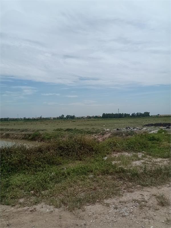 Bán 2,2ha đất kho nhà xưởng 50 năm tại mặt đường 5 , Huyện Bình Giang, Tỉnh Hải Dương412013