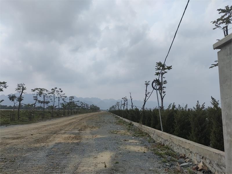 Bán 420.000m2 đất kho nhà xưởng 50 năm tại Huyện Thanh Miện, Tỉnh Hải Dương372467